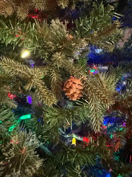 Photo of free 7.5 ft Christmas Tree (New Market, MD) #2