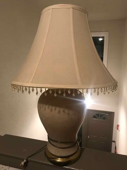 Photo of free Lamp (Plum Grove & Euclid) #1