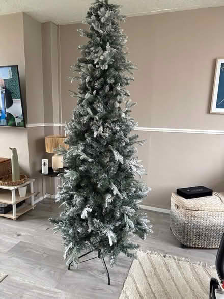 Photo of free Christmas tree (Rugby CV22) #1