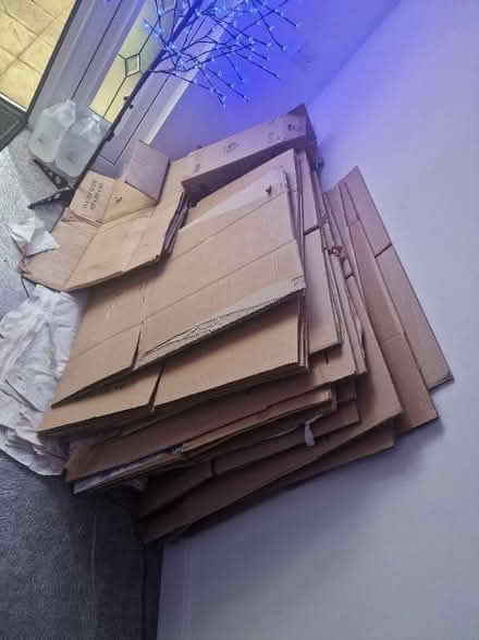 Photo of free Removal strong boxes (Hellingly BN27) #2