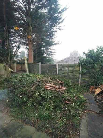 Photo of free Yew tree logs for fire (Copsewood CV3) #1