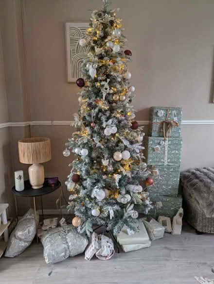 Photo of free Christmas tree (Rugby CV22) #2