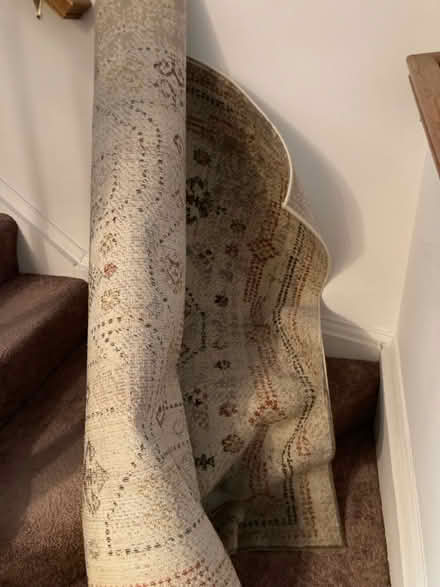 Photo of free Rug, 5 by 8 feet (Centreville) #1