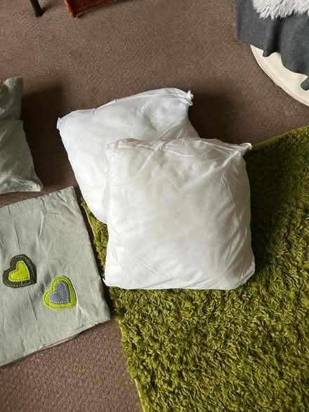 Photo of free 4 cushions & covers (Hastings. Broom grove TN34) #2