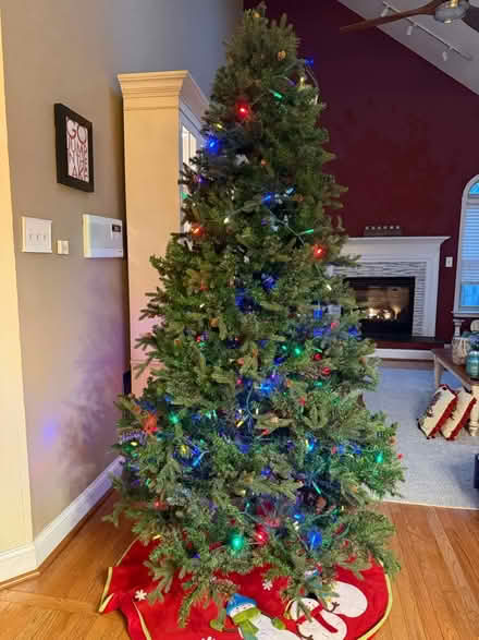 Photo of free 7.5 ft Christmas Tree (New Market, MD) #1