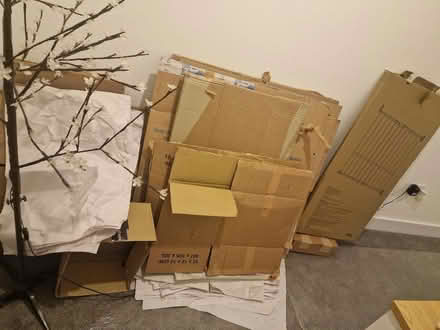 Photo of free Removal strong boxes (Hellingly BN27) #3