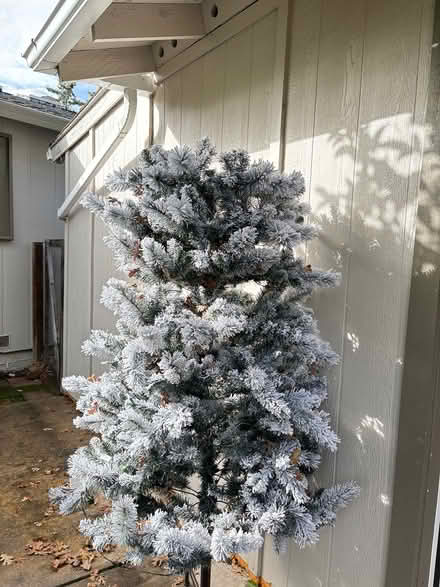 Photo of free Faux Xmas Free Tree (Concord San Ramon Livermore) #1