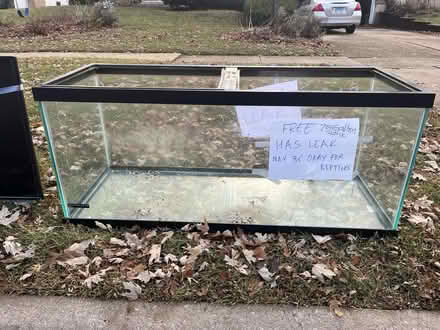 Photo of free On curb- TV and 75 gallon tank (Lisle) #1