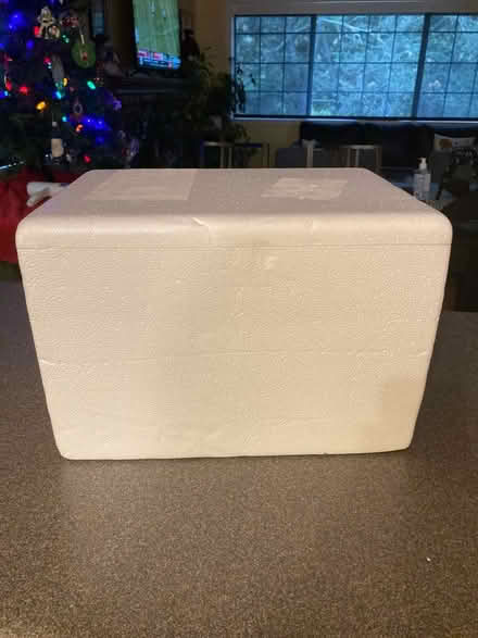 Photo of free Styrofoam Cooler and Gel Packs (Highland Ave, RWC) #1