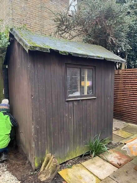 Photo of free Shed (PutneySW15) #1