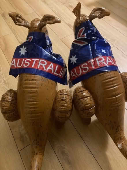 Photo of free Inflatable kangaroos x2 (Nether Edge S7) #2