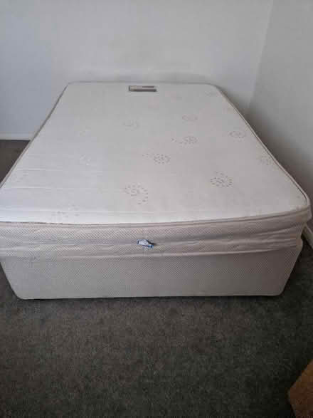 Photo of free Double bed (CT11) #1