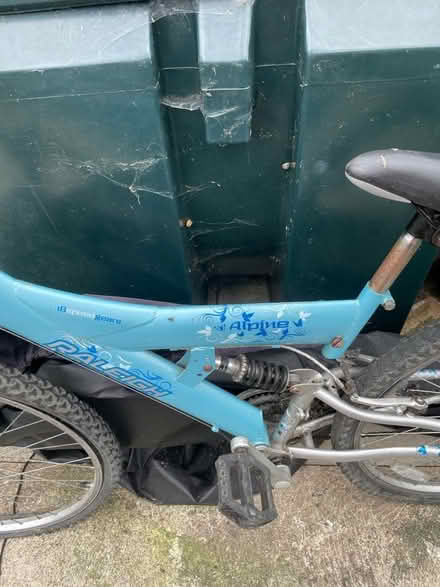 Photo of free Bicycle (North Coates DN36) #3