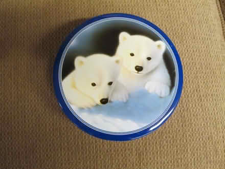 Photo of free Polar Bear Tin (Downers Grove) #1