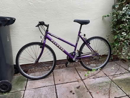 Photo of free Bicycle, bit rusty but works fine (Bishop's Stortford CM23) #1