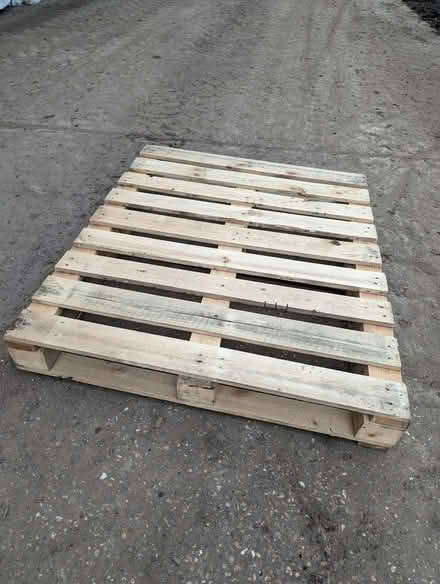 Photo of free Wooden Pallet from Arnold (Arnold NG5) #1