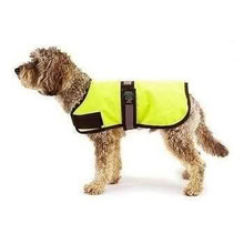 Photo of free Hi-Vis dog coat (Great & Small Country range) (Stretham CB6) #1