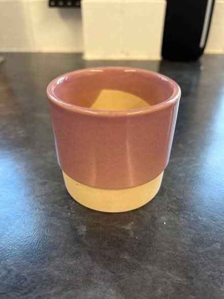 Photo of free Mini plant pot (Temple Sowerby CA10) #1