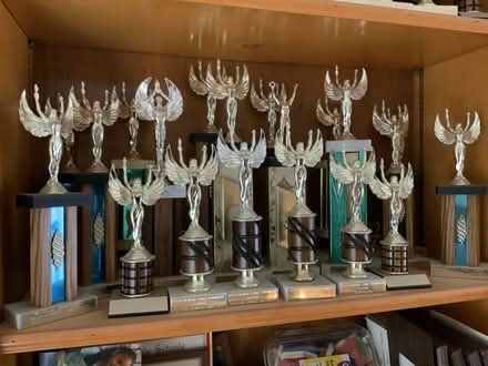 Photo of free trophies (Fondren x W.Bellfort in SW Hou) #3