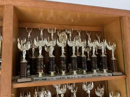 Photo of free trophies (Fondren x W.Bellfort in SW Hou) #4