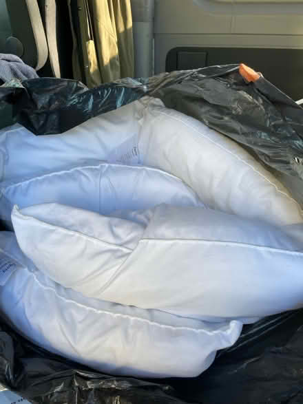 Photo of free Pillows (North Somercotes) #1