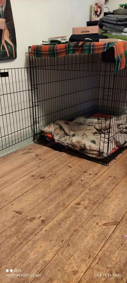 Photo of free Dog cage (Hangleton BN3) #2