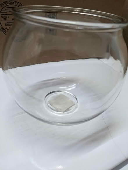 Photo of free Small glass fish bowl (Castro Valley) #1