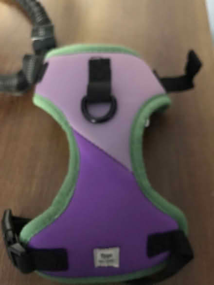 Photo of free Small dog harness (AB21) #2