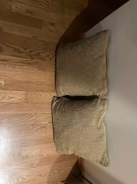 Photo of free Two pillows (Near Busse and Golf) #1