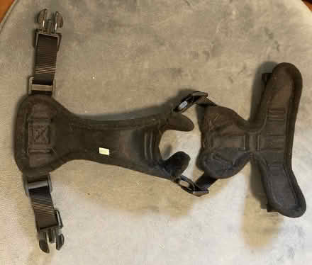 Photo of free padded pet harness (Fremont-Sundale/28 Palms) #2