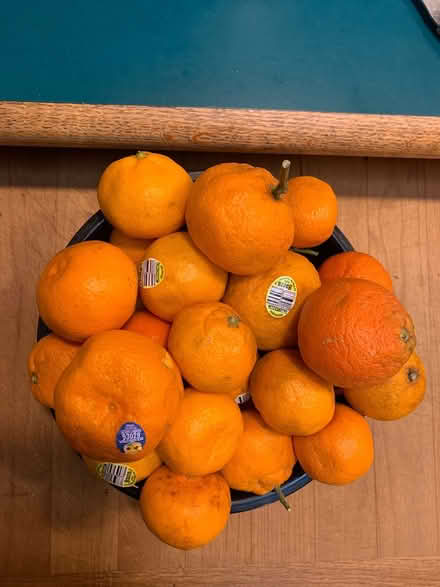 Photo of free Organic mandarins (Lake City/Meadowbrook) #1