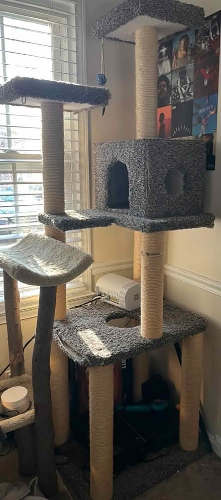 Photo of free Large cat tower (Off of quince orchard road) #2