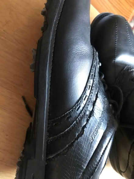 Photo of free Dunlope golf shoes size 9 (Horsehay TF4) #2