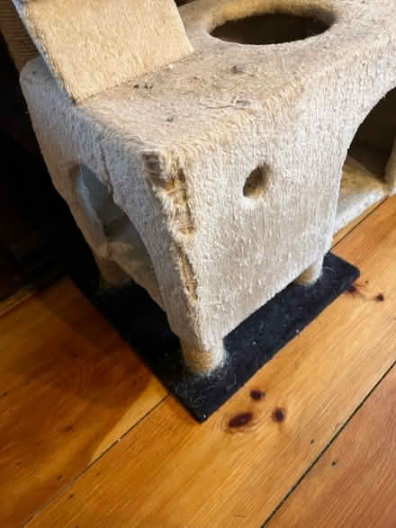 Photo of free Cat tower (Lunenburg) #2