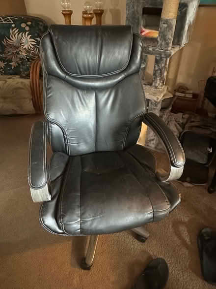 Photo of free Office chair (Palm Harbor) #2