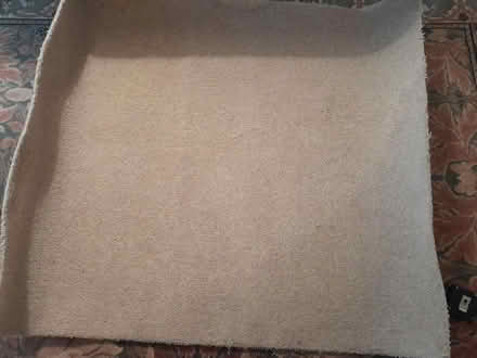 Photo of free Carpedi / Carpet remnants (Bangor LL57) #1