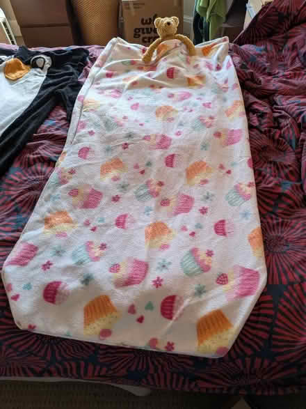 Photo of free 3 X child blanket/ sleeping bags (Lower Bebington CH63) #3