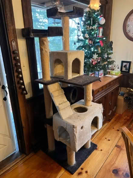 Photo of free Cat tower (Lunenburg) #1