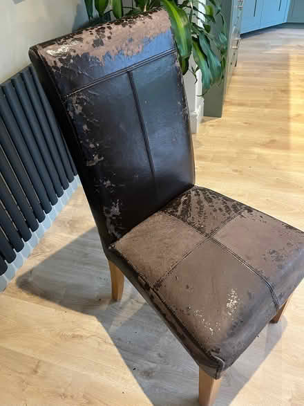 Photo of free Dining chairs (TN26) #3