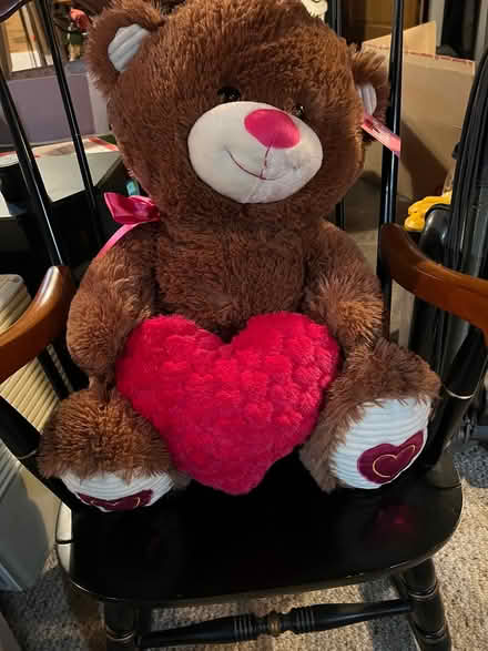 Photo of free Large teddy bear with tags (Downers Grove) #1