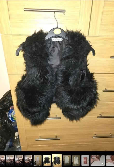 Photo of free Faux fur gilet (Eastergate) #2