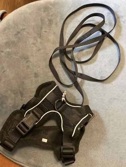 Photo of free padded pet harness (Fremont-Sundale/28 Palms) #4