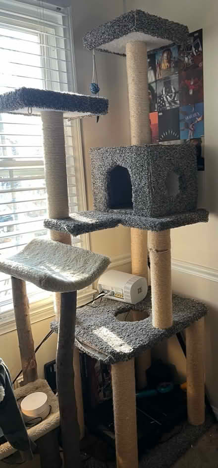 Photo of free Large cat tower (Off of quince orchard road) #1