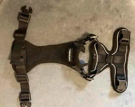 Photo of free padded pet harness (Fremont-Sundale/28 Palms) #3