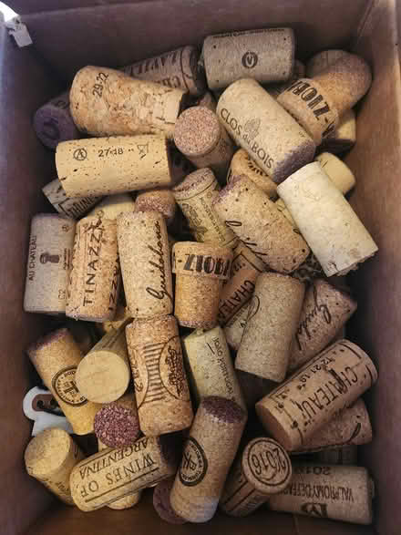 Photo of free Wine bottle corks (Montclair) #1