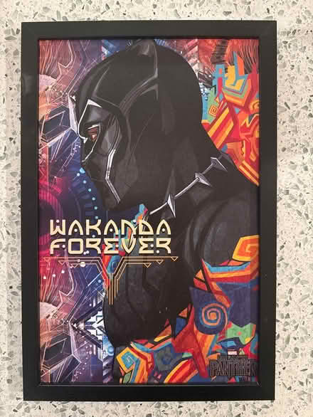 Photo of free Black Panther framed print (North Bethesda) #1