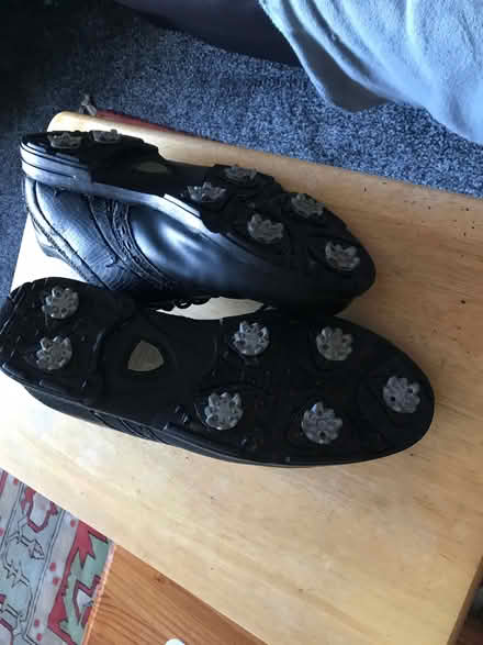 Photo of free Dunlope golf shoes size 9 (Horsehay TF4) #3