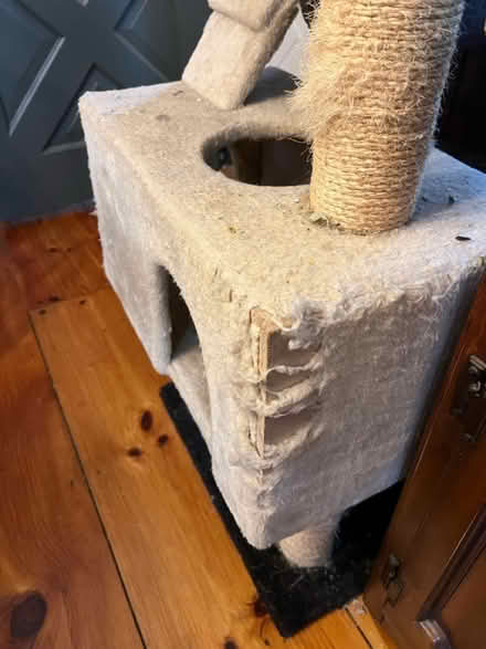 Photo of free Cat tower (Lunenburg) #3