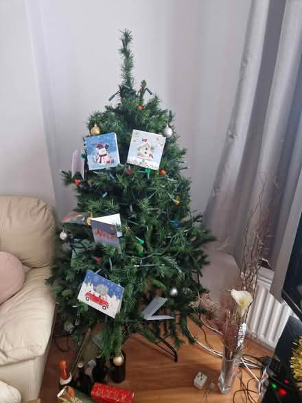 Photo of free Xmas Tree (Enfield) #1