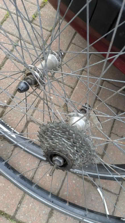 Photo of free Pair of bike wheels (Duddingston EH15) #3